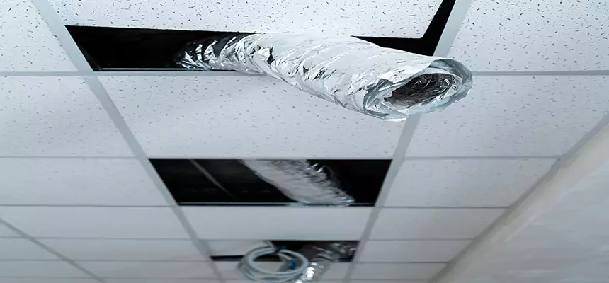 Our Air Duct Pet Hair Removal Services in Modesto, CA