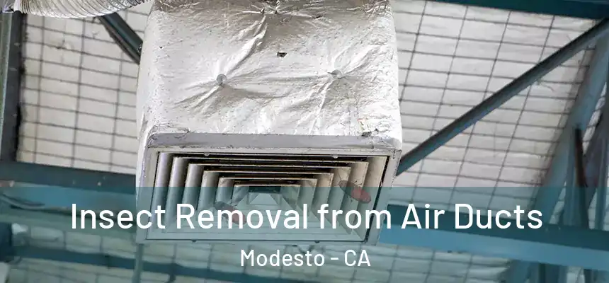 Insect Removal from Air Ducts Modesto - CA