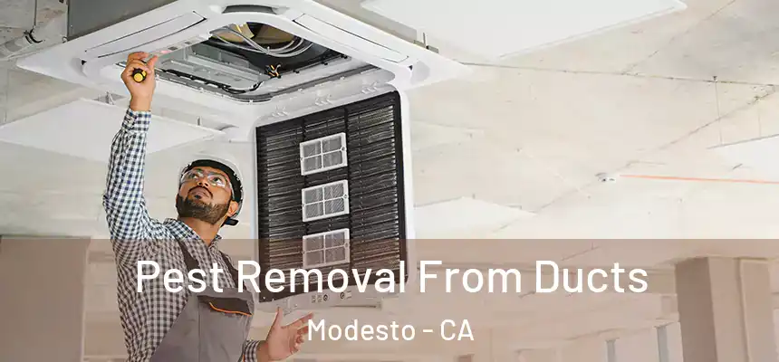  Pest Removal From Ducts Modesto - CA
