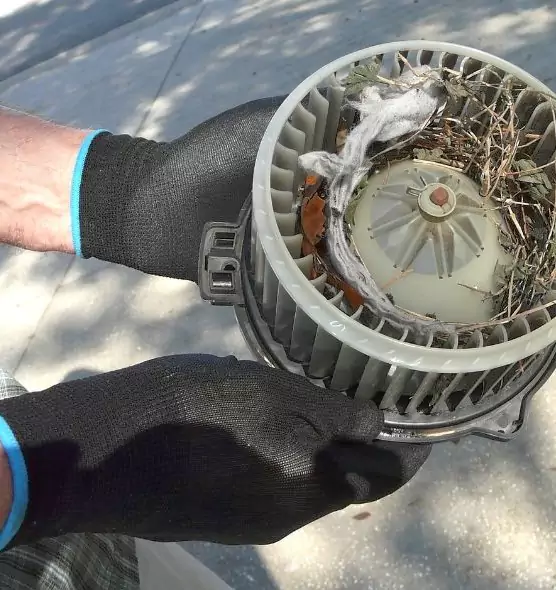 About Air Duct Rat Removal in Modesto, CA