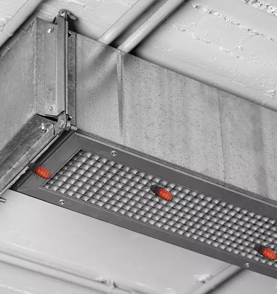 Affordable Insect Removal from Air Ducts in Modesto, CA